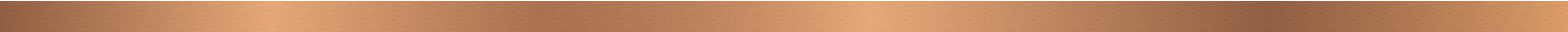 Imagen sobre footer
